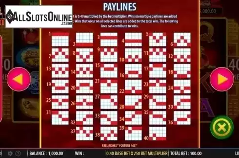 Paylines. Reel Riches Fortune Age from WMS