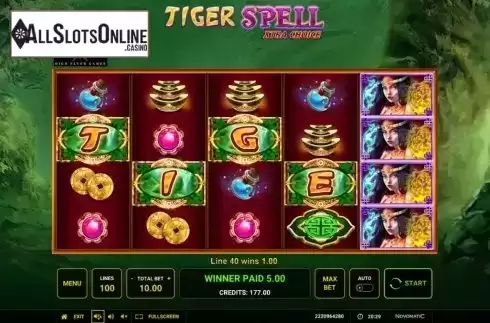 Win Screen 3. Tiger Spell Xtra Choice from High Flyer Games