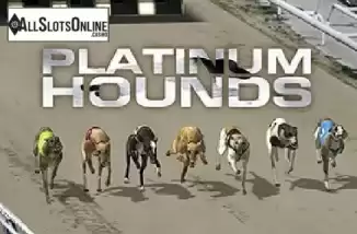Virtual Platinum Hounds. Virtual Platinum Hounds from Kiron Interactive
