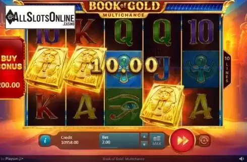 Win Screen 2. Book of Gold Multichance from Playson