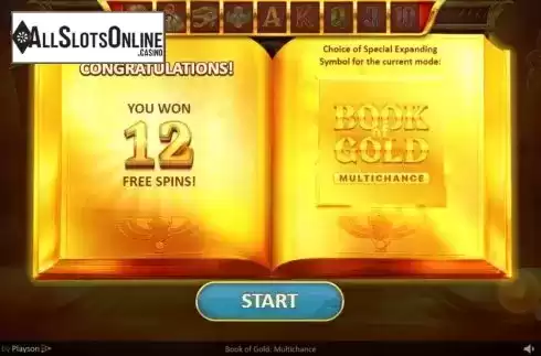 Free Spins 1. Book of Gold Multichance from Playson