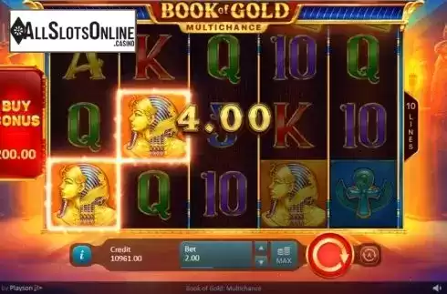 Win Screen 1. Book of Gold Multichance from Playson