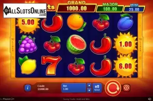 Reel Screen. Sunny Fruits: Hold and Win from Playson