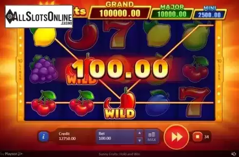 Win Screen 2. Sunny Fruits: Hold and Win from Playson
