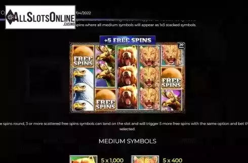 Additional Free Spins screen