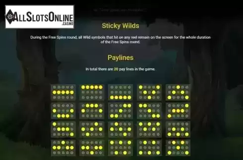 Features and Paylines screen
