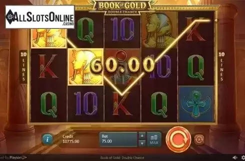 Win screen. Book of Gold: Double Chance from Playson