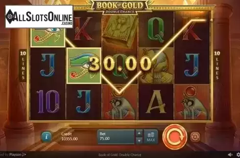 Win screen 2. Book of Gold: Double Chance from Playson