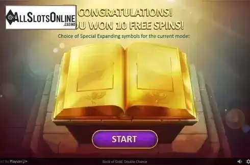 Free spins intro screen. Book of Gold: Double Chance from Playson
