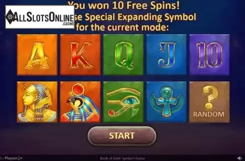 Free Spins 1. Book of Gold: Symbol Choice from Playson