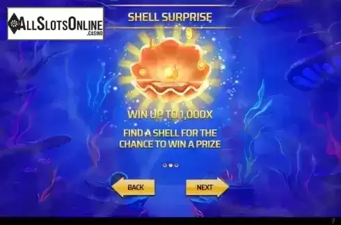 Shell surprise screen
